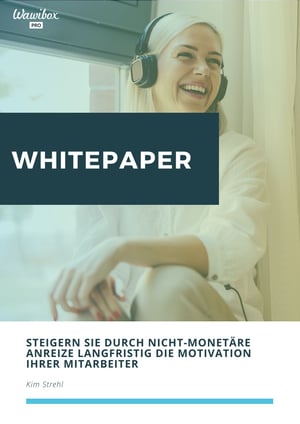 Whitepaper_ Nicht-monetäre Anreize Whitepaper_ Nicht-monetäre Anreize