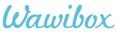 wawibox_logo_blau_rgb